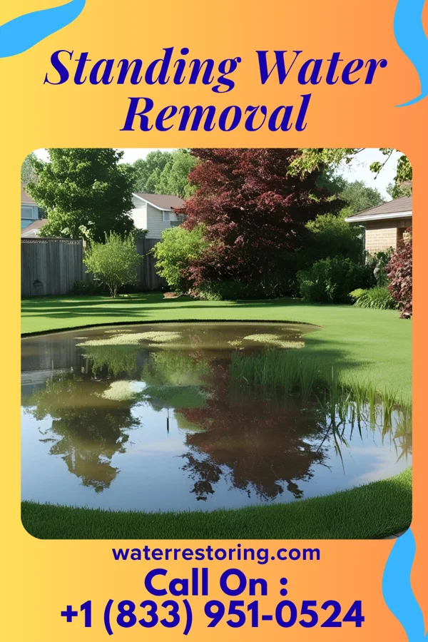 Standing Water Removal in Hilltop Lakes, TX